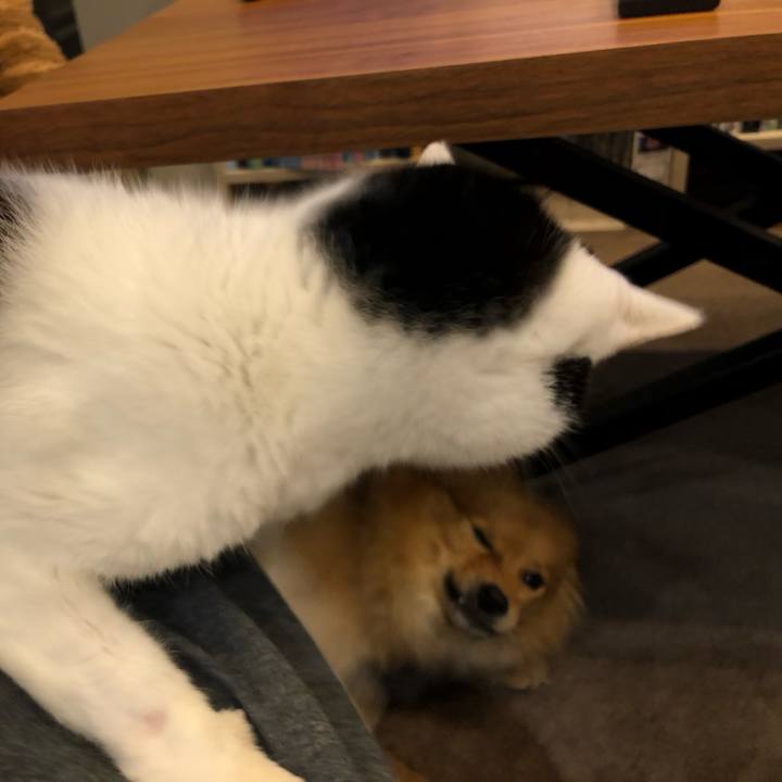 5293464e 94c5 4cf7 8af0 ad80a405c5d6 1674032246954