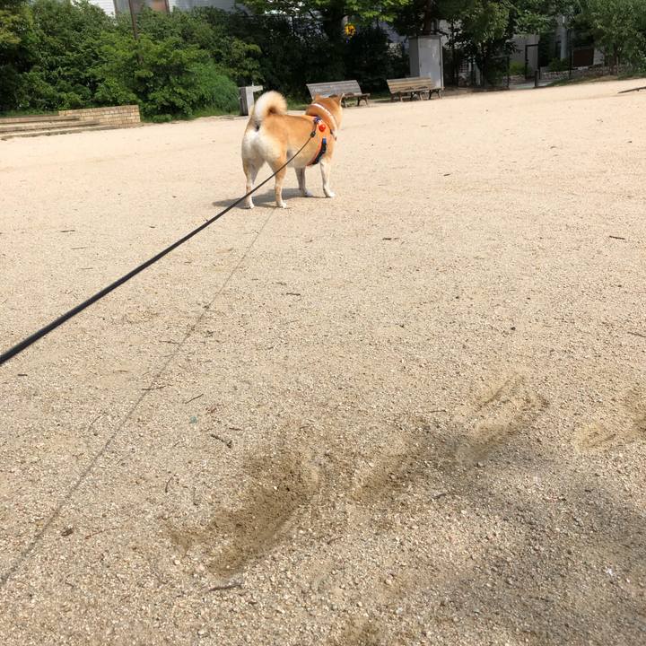 529364b4 8f30 492b 9f5a b1d20a1eb576 1563259249770