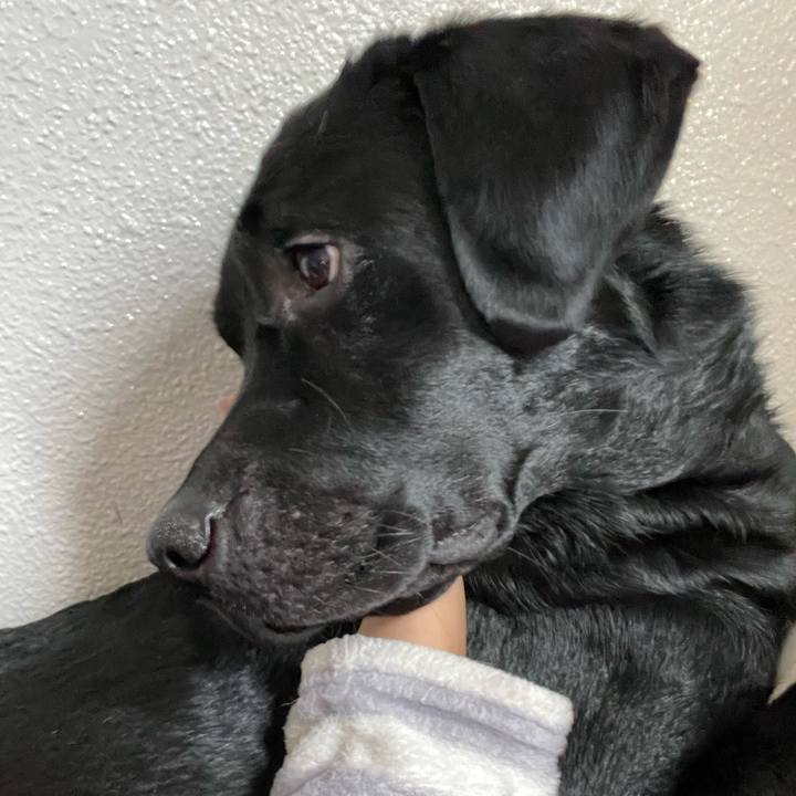 52938083 446f 42d9 bc31 f62637f1e1a5 1644883460309