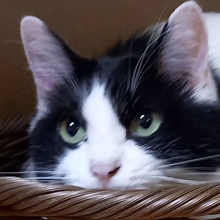 52939225 84d4 499e 96d5 ec148c46e723 1662171781358