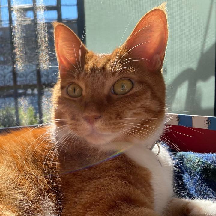 5293a97b 7ec9 46de b01f 107af5dc232c 1634960917708