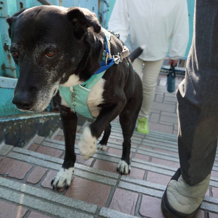 5293b2f1 7a0f 4125 827d c26ad1e219fe 1774140183311