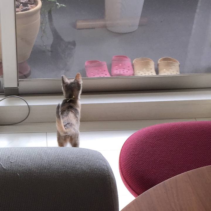 529401c7 acde 4fc4 b6bf 23342eee00c8 1575253064524