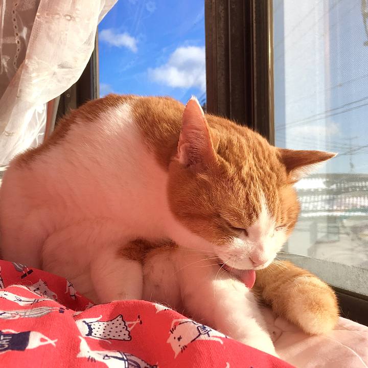 52940f72 9d10 4b8a 985e 9e14fd727c76 1581403823363