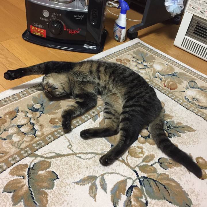 52941c6e 8a38 4121 ad87 7e610f51d377 1524930898526