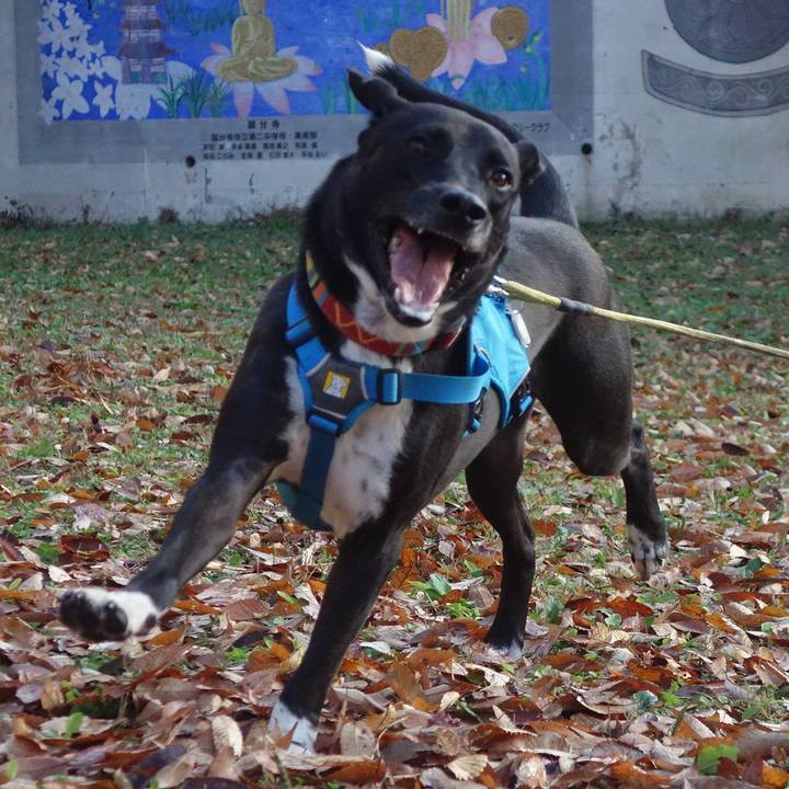 5294359e c6b5 4228 8492 19b85b74164a 1606003081447