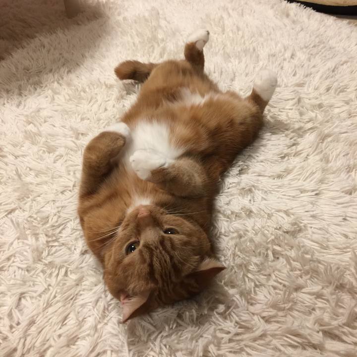 52944af5 3d53 4c67 b110 f6a2e82bd7b0 1542586855382