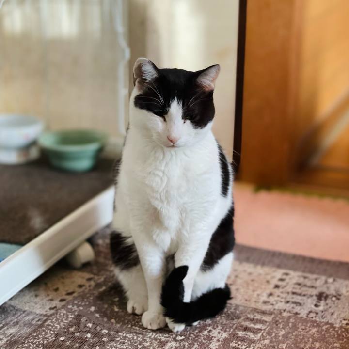 529531bf ad07 4b36 9f57 eed9e21e7a16 1638930961370