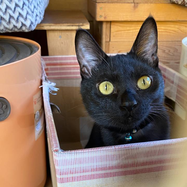 529540ae 1831 4a86 88d4 80ecd333bd8e 1637282190656