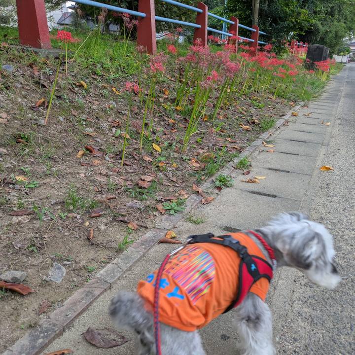 52955a93 be42 4754 ab93 f0ba92ed7301 1759475249386