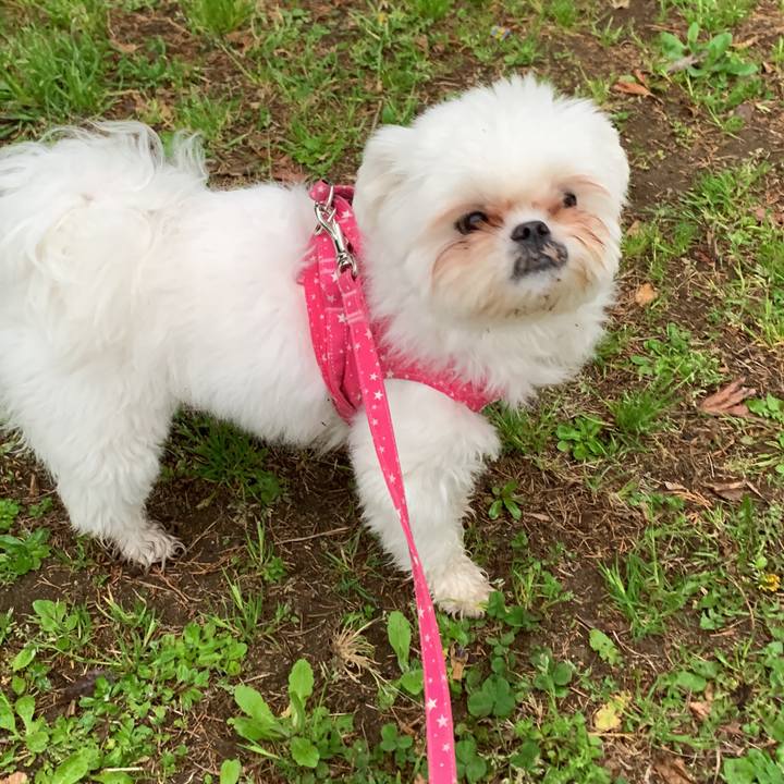 52957726 ec16 46ff afa7 12f340f05573 1680952081774