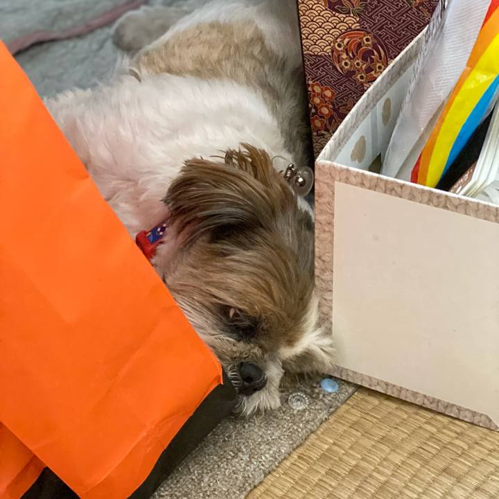 52958273 a7ec 430d 8dff 196e0b883528 1626698128330