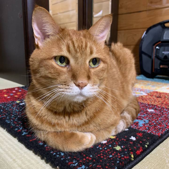 5295946c 9f71 4c3e bea4 7eeee9e8a6a2 1631437099833