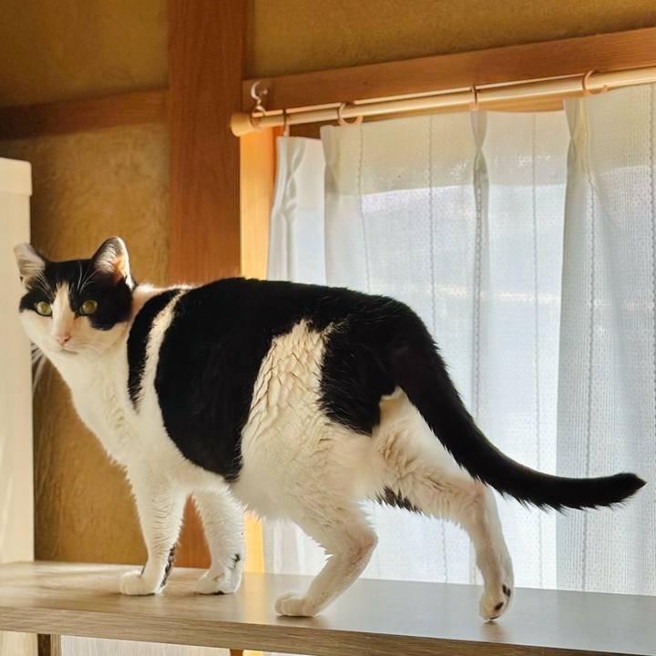 5295b318 1d86 4478 be0a 895b2da4077f 1710725594345