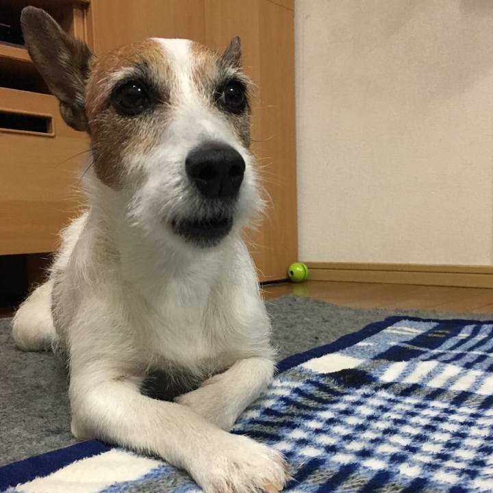 5295be04 ba6c 4f23 a42e 585a24a73600 1560915304538