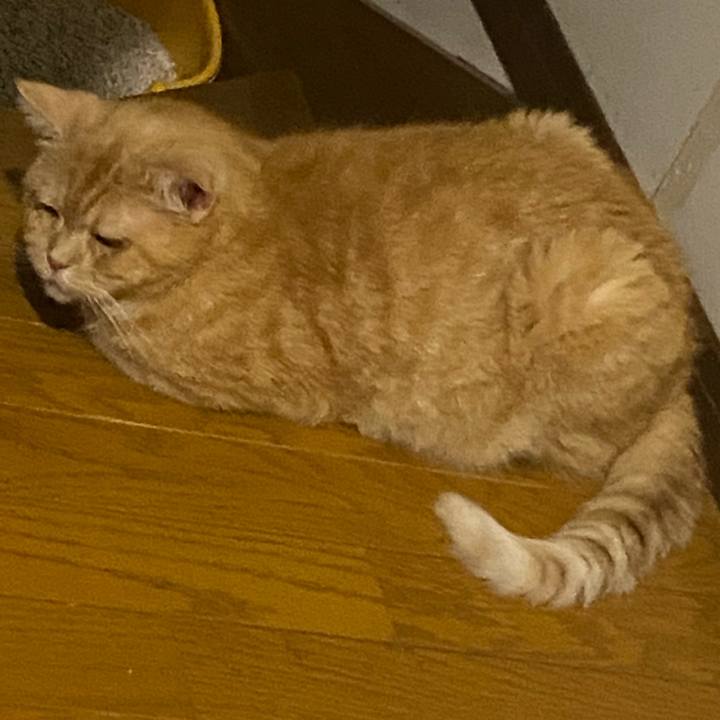 5295d204 4d57 4f1a 9dbc e9c323529580 1662223986894