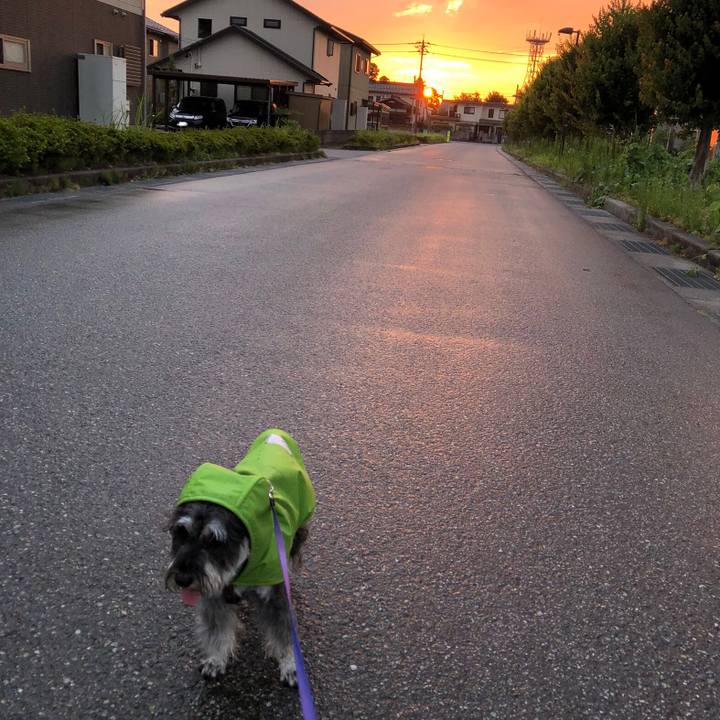 5295e3de 247c 41ff b0e2 fa1692a34d53 1691326560779