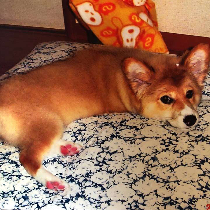 5295f0b5 a0be 491b 903f 484a0deaa36e 1534293520269