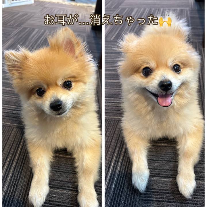 5296268f a9af 4fdd baff f058185c66ac 1690617368827