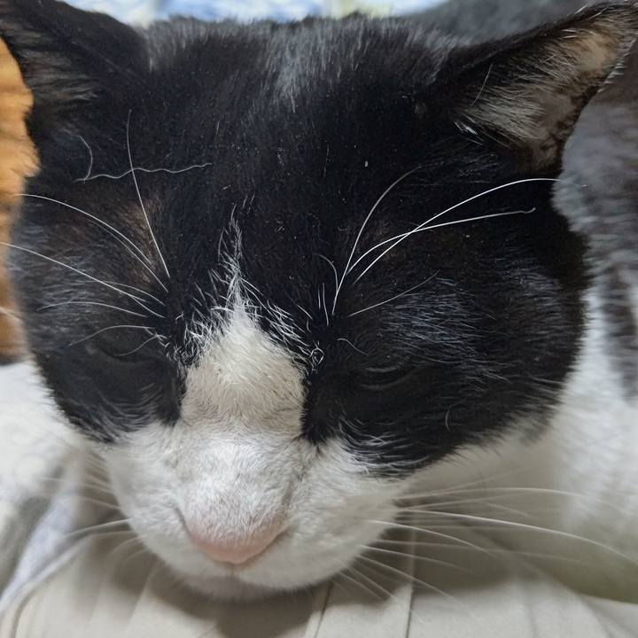 52971078 6a1b 4515 aa09 c0ef9ce9bdcd 1643117569274