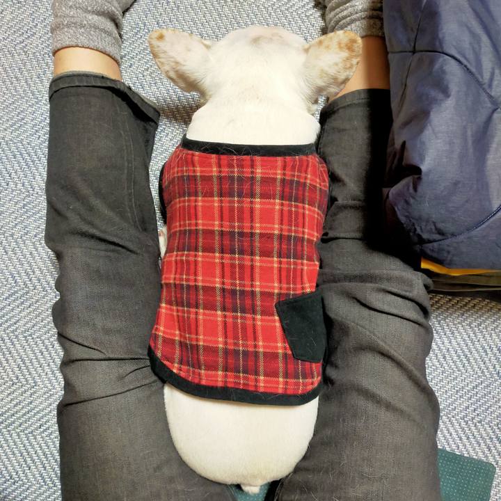 529710b6 43a0 4ce5 bacc 6696e3db7599 1668589148131