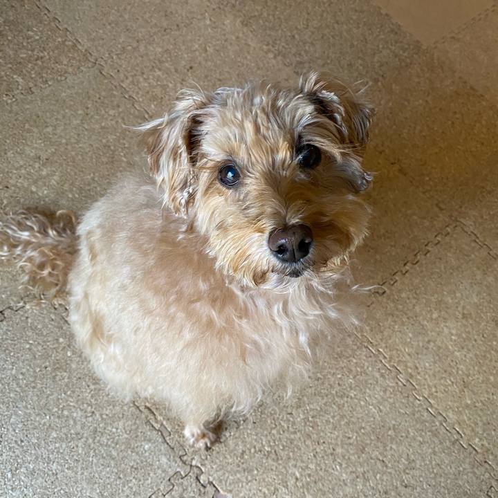 529713a4 61c4 4d07 825c 6096e1305b3f 1700092811825