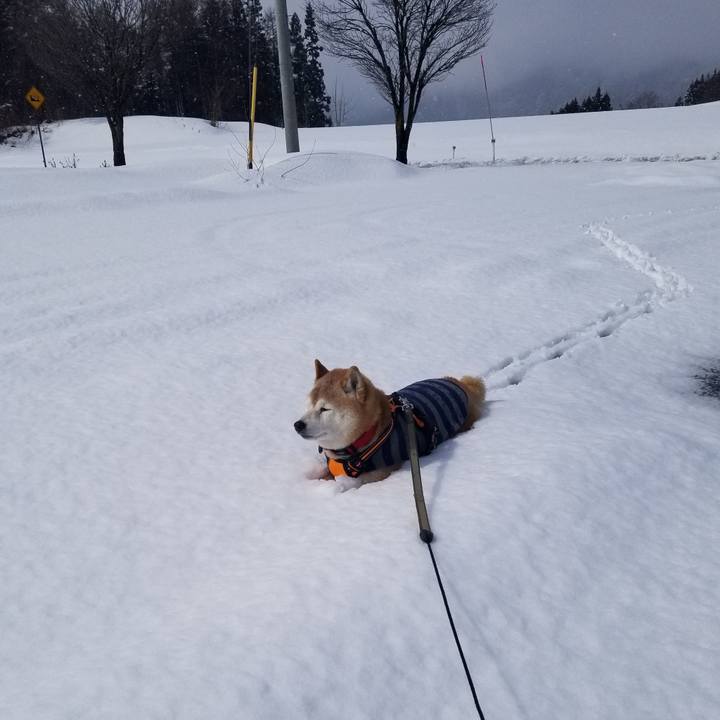 5297582c 8c8e 4e20 a693 6edc206e32c7 1709521740743