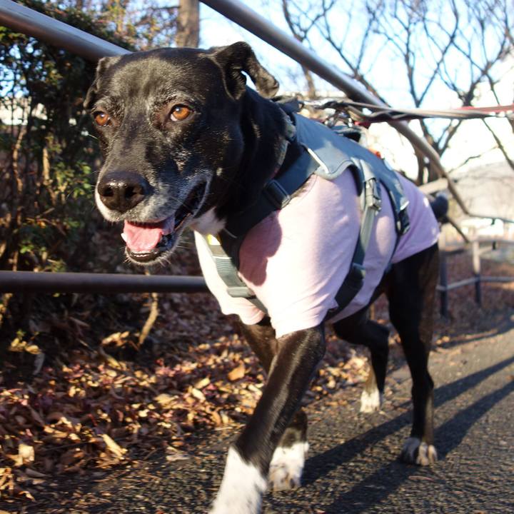 52978148 7d4b 4606 9939 386b88da3668 1735692424494