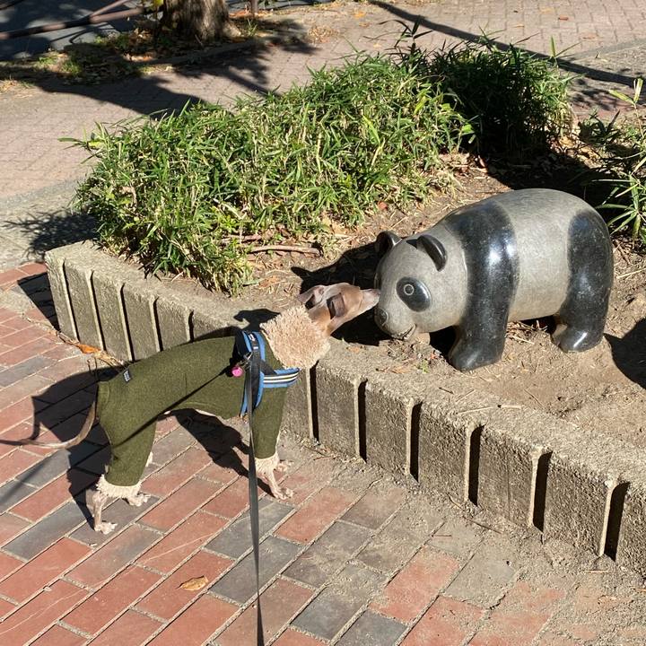 52978dac b91e 455f 9a3f 639f4b5a1567 1763709011273