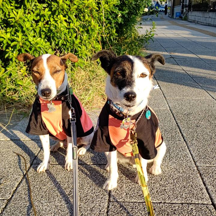 5297a10c 33c6 404f 85fc 96cce658ca1f 1664228265279