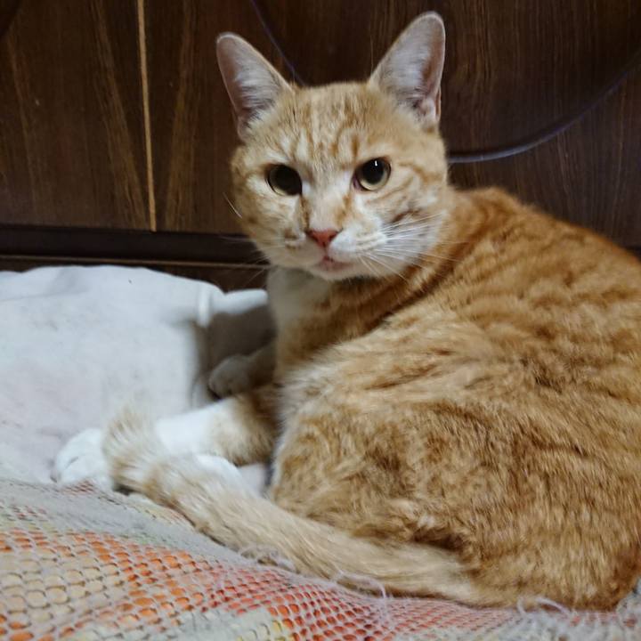 5297a63c 677b 489c 85ec 4a116dc0e582 1586171756723