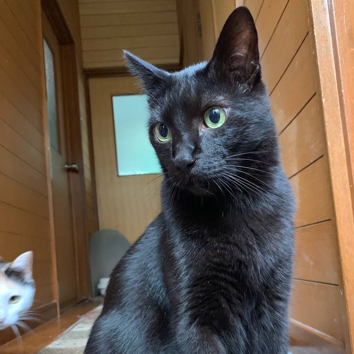 5297a7a2 182b 4337 84cd c458308e40d7 1537579635898