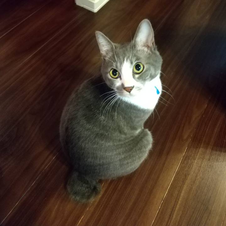 5297b622 0377 43a7 abc4 bdc89012fd3a 1614549189404