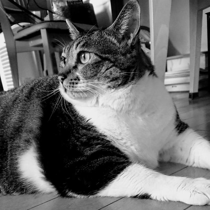 5297e077 194d 461a a959 97a49c48b2de 1537750248323