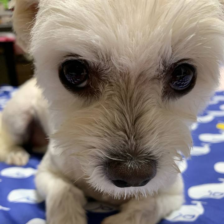 5297efc9 da99 426b bee8 9d83ff638a8a 1628775188461