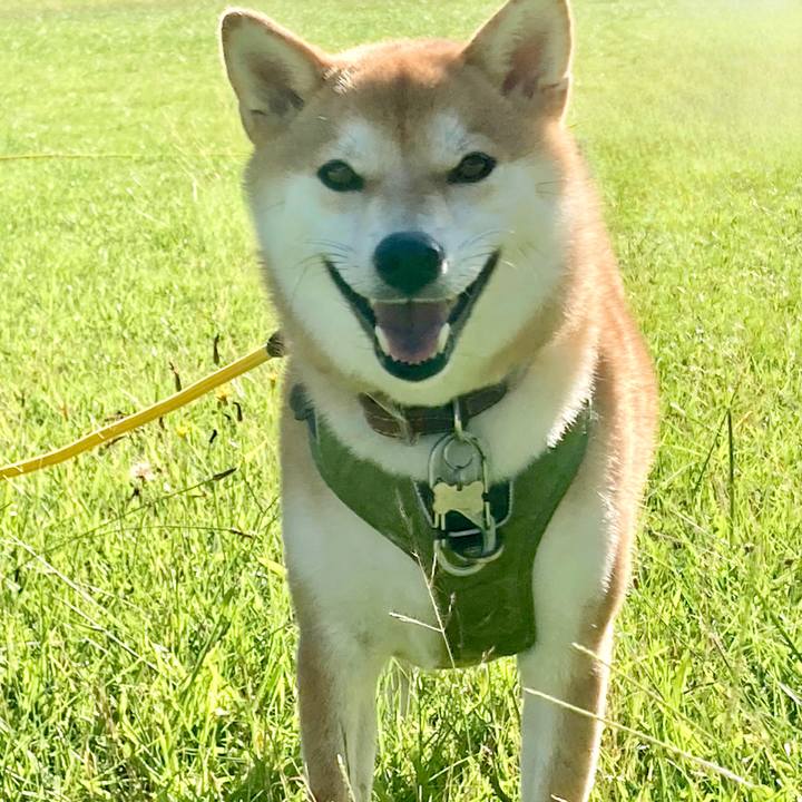 52982130 01a8 4f26 b594 ab4738b02dd2 1689720281128