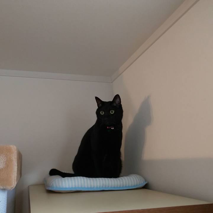 529844a9 a829 4ee9 8a4d 6643789c464e 1571618161540