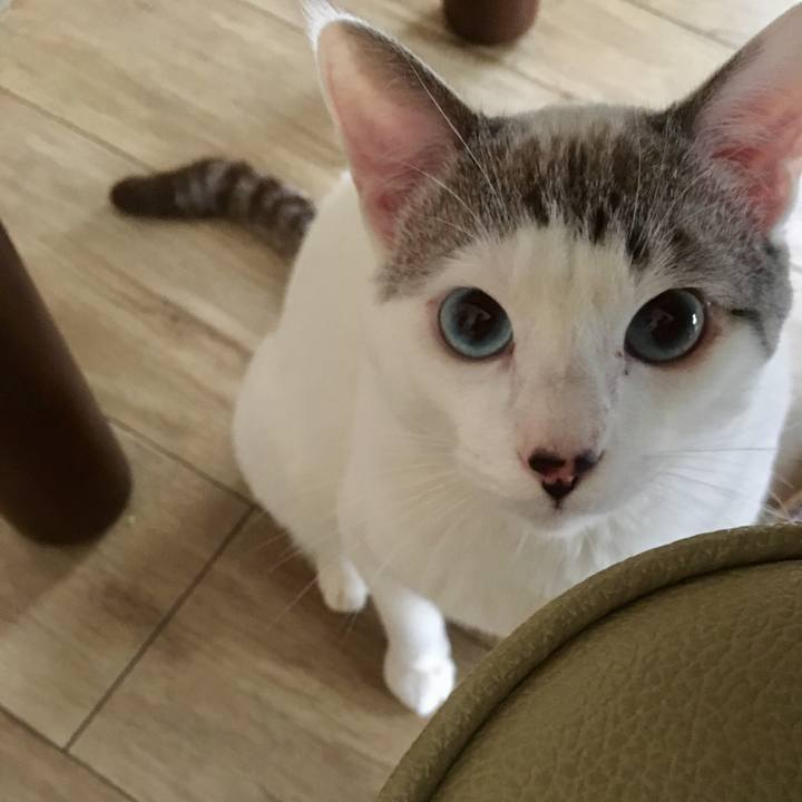 529855b5 e6c2 4a12 83ca 3d72c844c81b 1553755739174