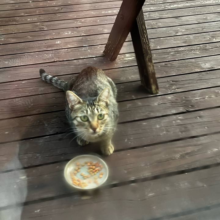 529866e9 79c1 4534 a575 f880e9a43735 1725179668256