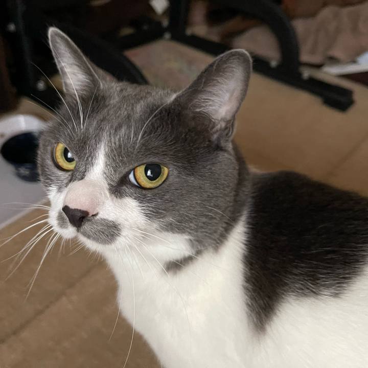 5298706b be56 49f8 889e 56f1f05d1dd5 1661810035011