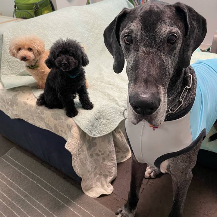 529899ad ca69 4635 b44d 1fdc08e93612 1632177789725