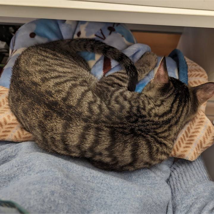 5298e22c cc16 4f14 86df 64591a86016e 1705418034127