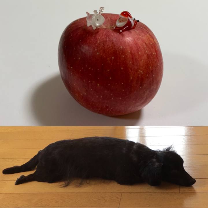 5298e93f 9986 41b4 b975 90bc9b5df305 1608334401008