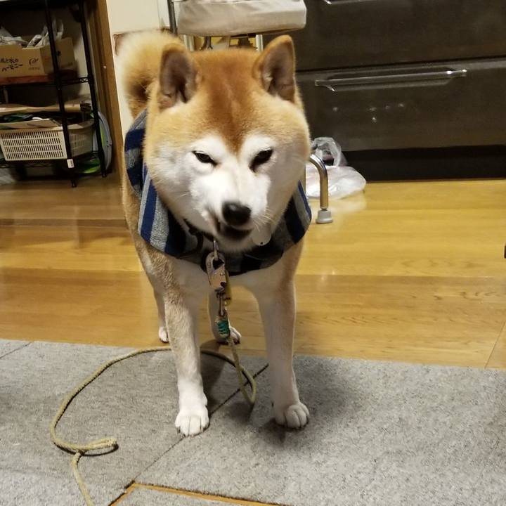 529907e6 9b28 4636 b3e9 23e3af754c73 1637135122645