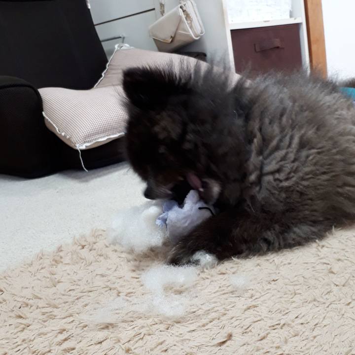 5299ca3c 74b6 428d 87da 995a63c3c48d 1554419527536