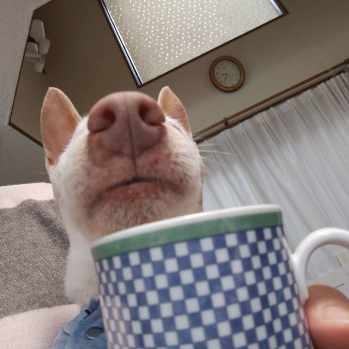 5299f060 e02d 4d97 8635 25773aa43921 1584151797885