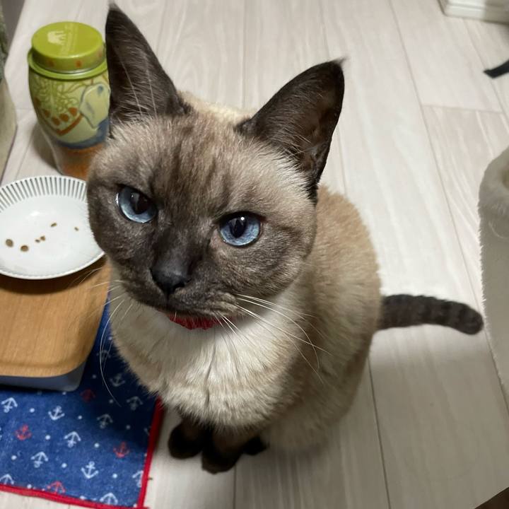 5299f4c2 1375 4fc0 a93e 5838b135028a 1765534725735