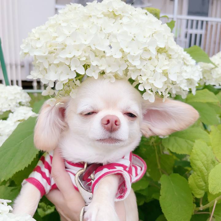 5299fdfb 2c84 46d6 b45a 788a7efd64f3 1686039330203