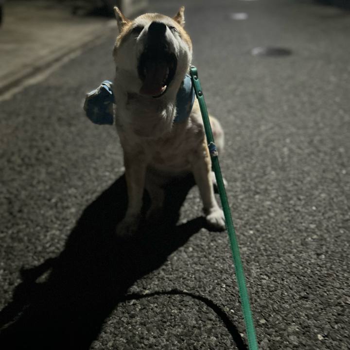 529a18ef 24b4 441b afa9 7ba72e2ef15a 1756893770756