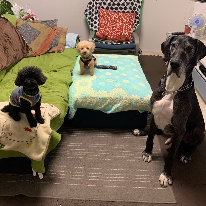 529a5d32 5e58 49eb 8efa e31fcc99fbd8 1591915629086